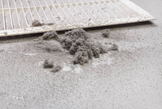 Best HVAC Air Duct Cleaning  in Alamo, TN
