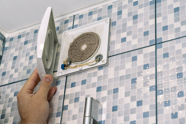 Best Local Air Duct Cleaning Services  in Alamo, TN