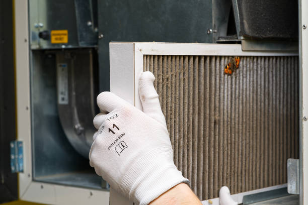 Best Air Duct Cleaning Company Near Me  in Alamo, TN
