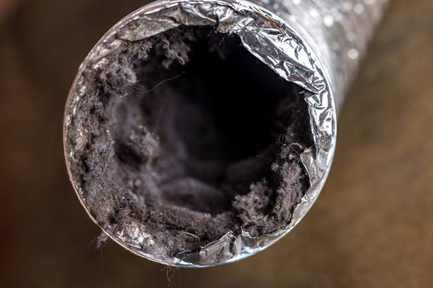 Best HVAC Duct Inspection Services  in Alamo, TN