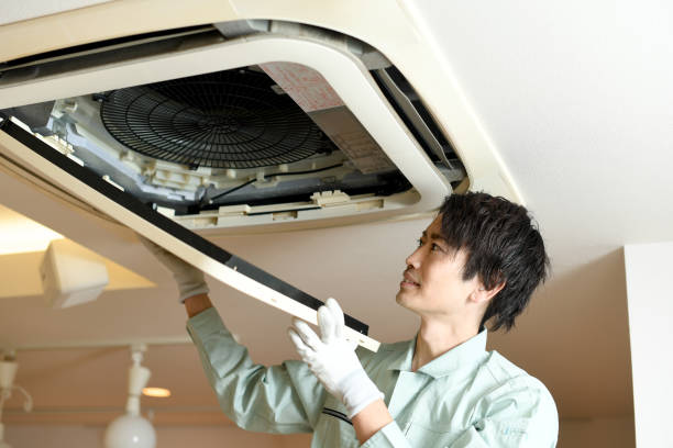 Best Ductwork Cleaning Services  in Alamo, TN