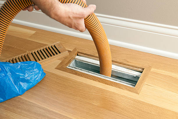 Best Affordable Duct Cleaning Services  in Alamo, TN