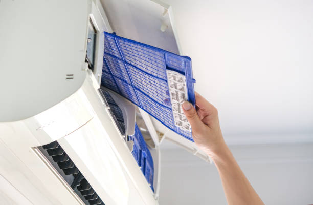 Best HVAC System Cleaning  in Alamo, TN