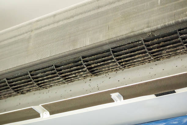 Best Professional Duct Cleaning Services  in Alamo, TN