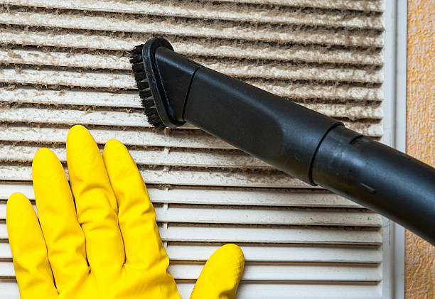 Best Air Duct Cleaning Near Me  in Alamo, TN